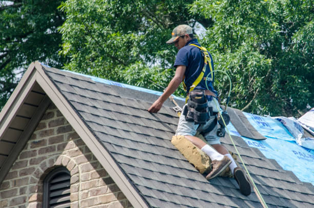 Best Roof Gutter Cleaning  in Una, WA